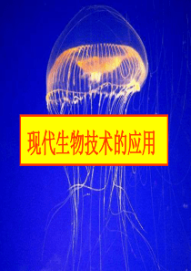 苏教版生物八下《现代生物技术的应用》ppt课件2