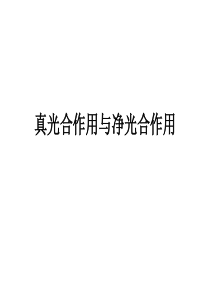 真光合作用与净光合作用----张军