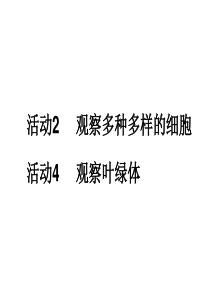 活动2观察多种多样的细胞