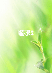 湖南花鼓戏