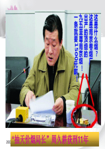 第二课保障宪法实施
