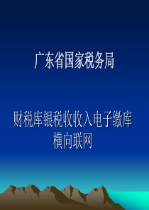 广东国家税务局横向联网系统应用简介