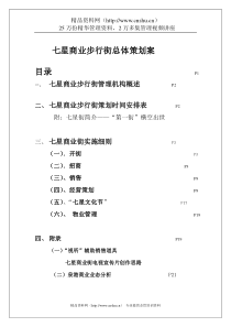 七星商业步行街总体策划案（DOC32页）