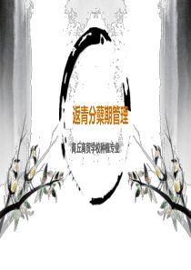 4---水稻返青分蘖期管理