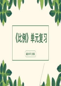 比例单元复习