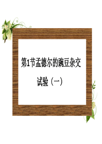 1.1孟德尔豌豆杂交实验1[精品课件]