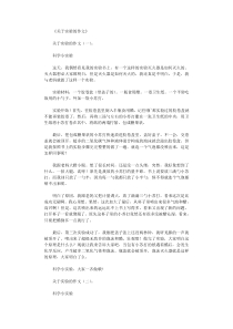 关于实验的作文12篇完整版