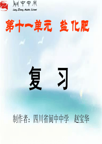九年级化学第十一单元复习课1