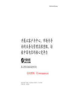 麦肯锡-中国电信-业务与管理流程重组咨询报告