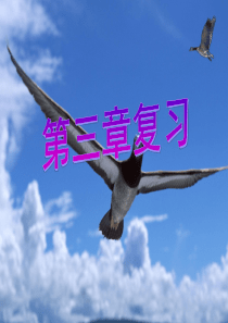 浙教版科学八年级下册第三章植物与土壤复习