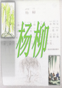 小古文杨柳