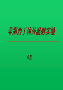 非那西丁体外温孵实验