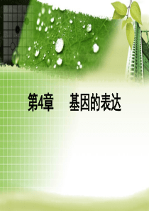 基因指导蛋白质的合成优质课件