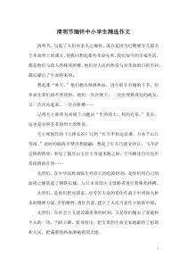 清明节缅怀中小学生精选作文