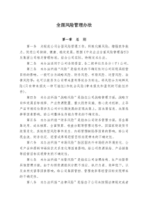 某某大型企业全面风险管理办法