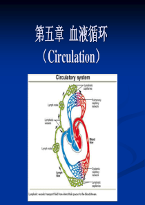 动物生理学血液循环PPT课件