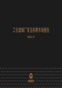 中信_江苏常州西新桥工化玻璃厂项目市场前期策划报告_183页