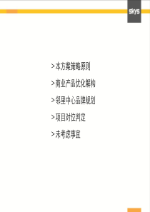 商业产品线优化建议