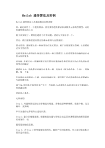 Matlab-遗传算法及实例