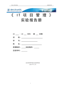 IT项目管理实验报告