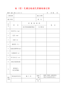 钻(挖)孔灌注桩成孔质量检查记录
