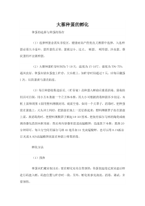 大雁种蛋的孵化