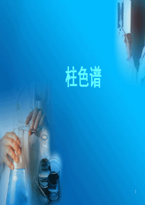 柱色谱PPT课件