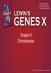 Gene-X-ppt(Gene10-基因十)--Chapter09