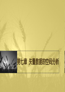 矢量数据的空间分析