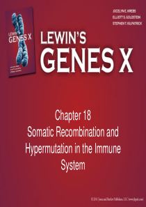 Gene-X-ppt(Gene10-基因十)--Chapter18
