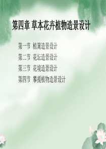 第四章-草本花卉植物造景设计-2