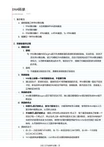 DNA转录总结
