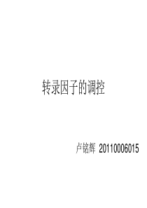 转录因子的调控