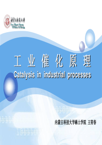 催化原理-第1章-催化剂与催化作用基本知识