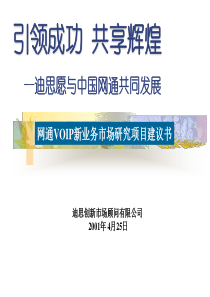 中国网通公共传播项目策划（PPT 33页）