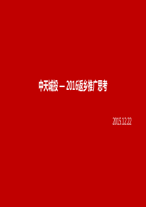 中天城投-XXXX年返乡推广思考71p