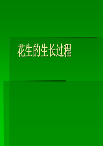 花生的生长过程