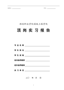 监理员顶岗实习报告