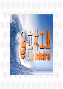 天津立林螺杆钻具