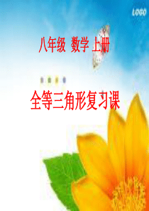 2015沪科版全等三角形复习课件资料