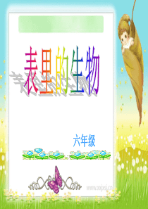 语文S版六年级上册《表里的生物》PPT-课件