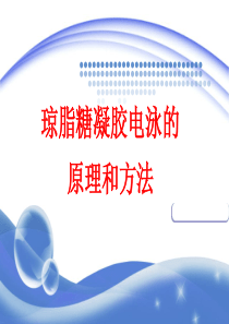 实验13-琼脂糖凝胶电泳的原理和方法