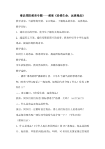 毒品预防专题教案