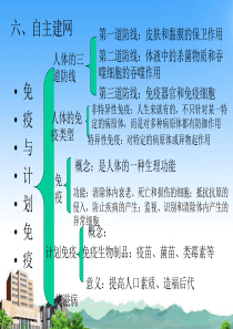 用药和急救课件
