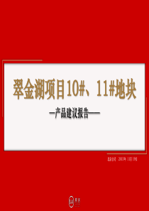XXXX1120_翠金湖1011地块产品建议