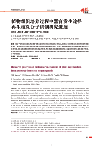 植物组织培养过程中器官发生途径再生植株分子机制研究进展