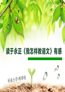 《我怎样教语文》读后感