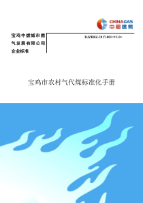 宝鸡市农村气代煤标准化手册1.0