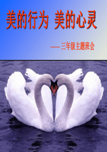 美的行为,美的心灵