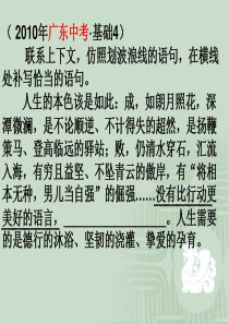 中考复习专题——仿写句子